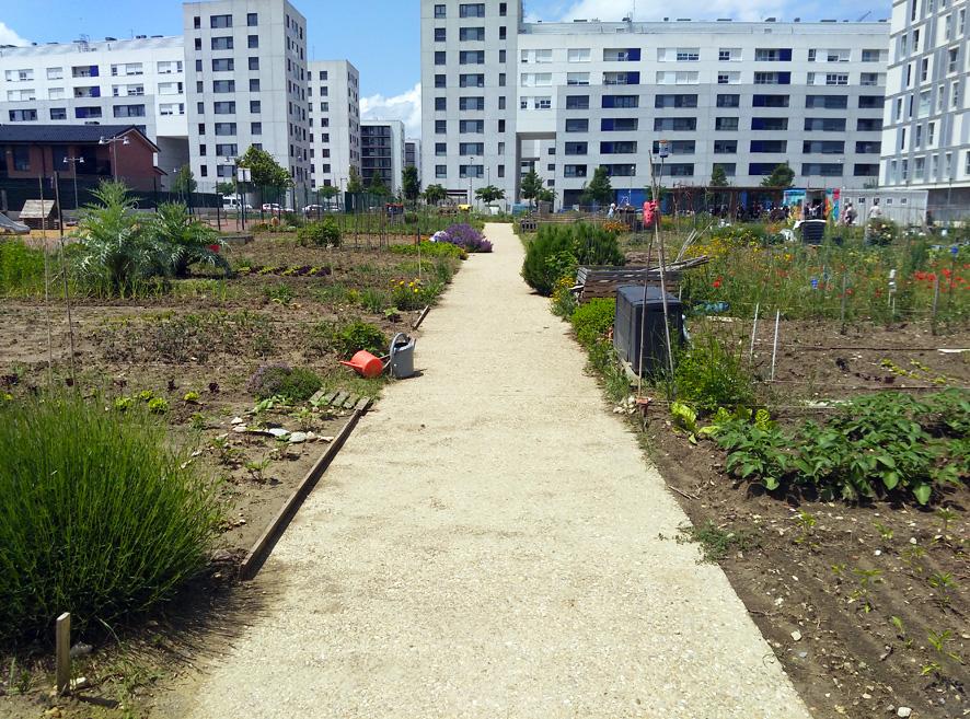 Huertos urbanos Zabalortu en Zabalgana