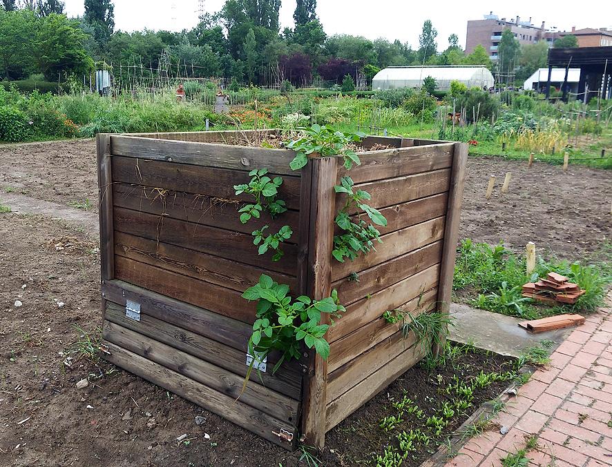 Huertos urbanos en Vitoria