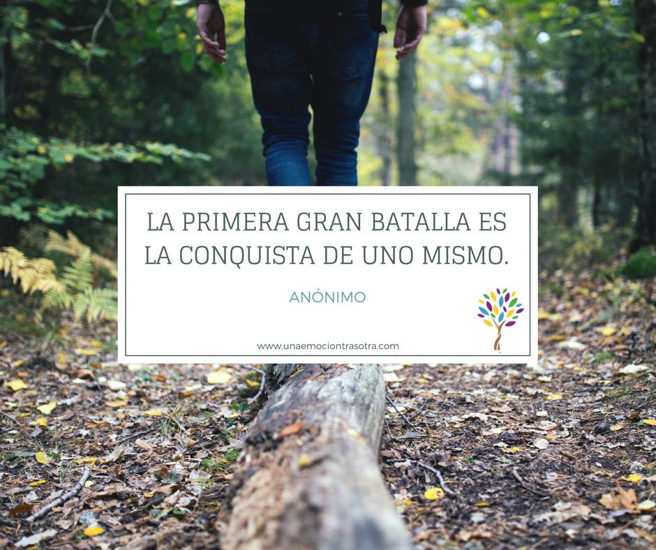 Si ¡te encantarán!