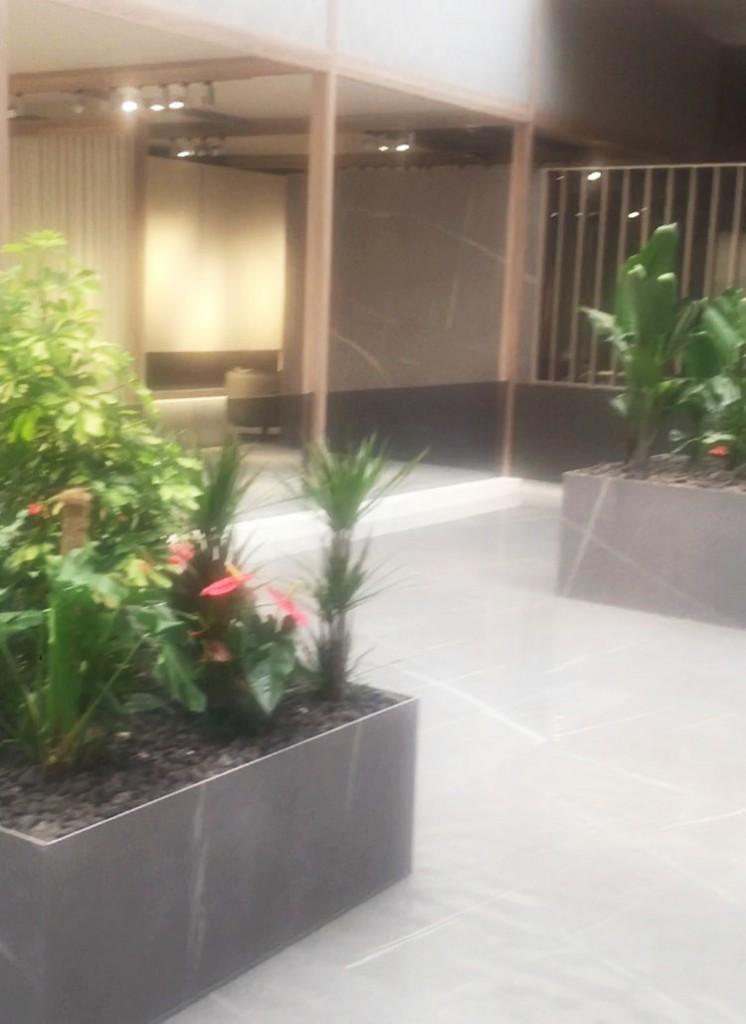 Inalco con los 5 sentidos