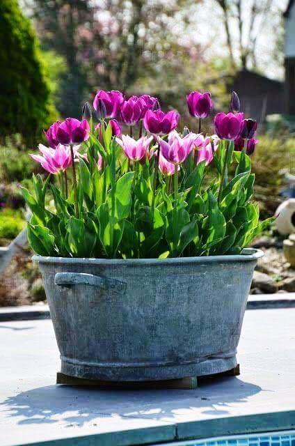 Ideas reutilizadas para maceteros de jardín originales