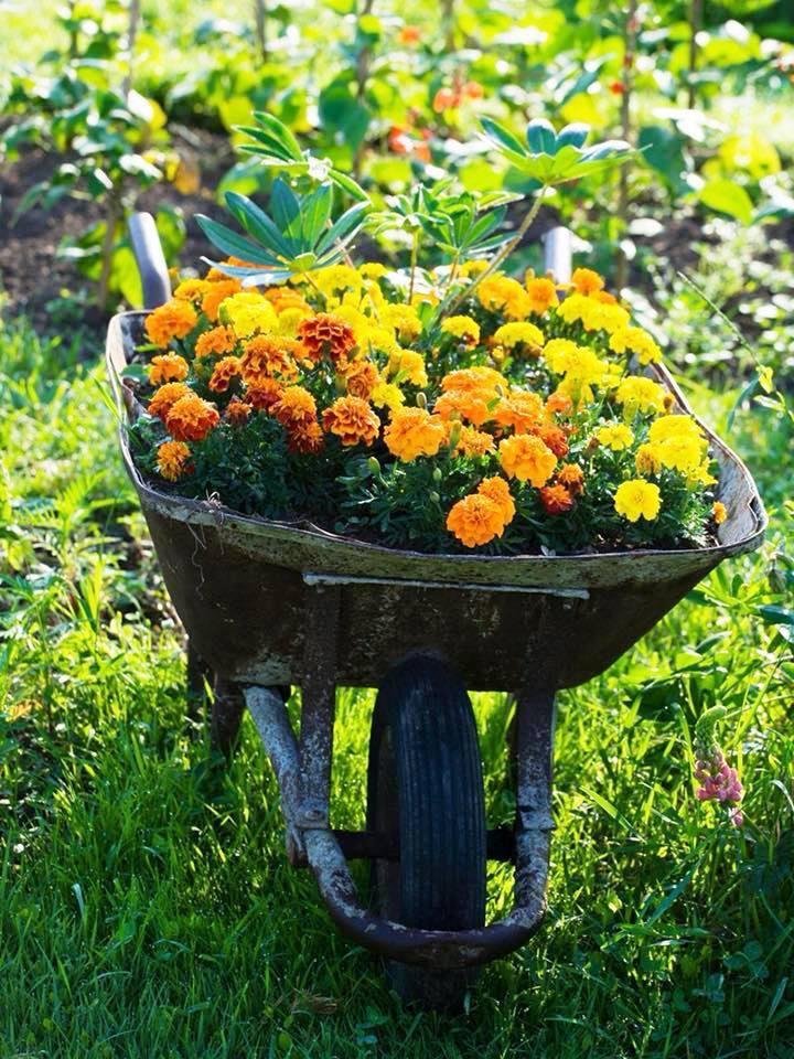 Ideas reutilizadas para maceteros de jardín originales