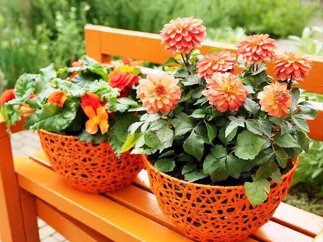 Ideas reutilizadas para maceteros de jardín originales