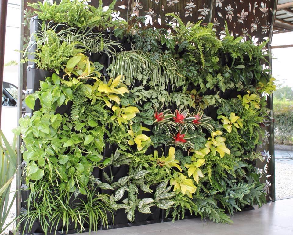 mini garden vertical OK