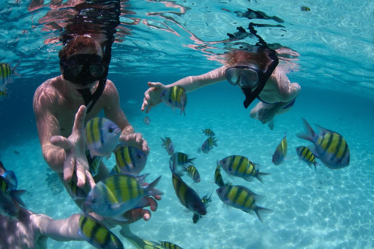 Snorkeling en punta cana
