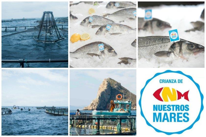 LUBINA A LA DONOSTIARRA