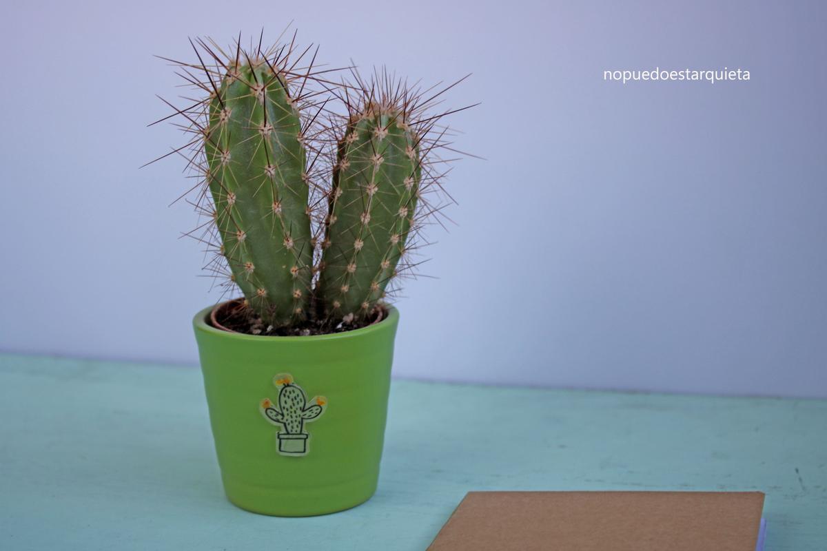 Cómo usar plástco mágico manualidades niños. diy