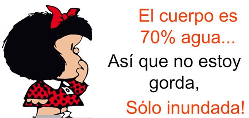 Mafalda obesidad 2017