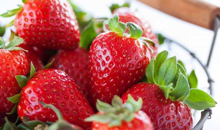 Dieta de la fresa para bajar de peso - Trucos de salud caseros