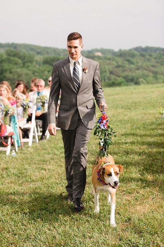 perro boda
