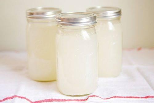 KEFIR DE AGUA EN LECHE DE AVENA 