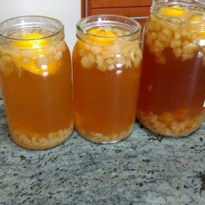 RECETA DE KEFIR DE AGUA TRADICIONAL