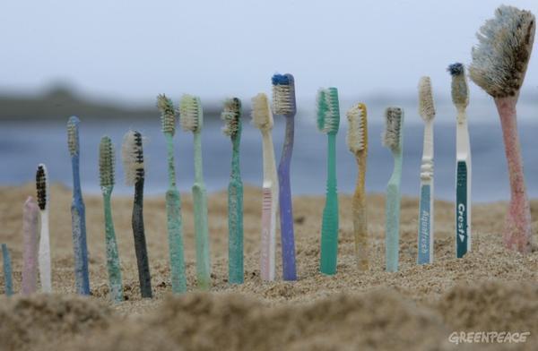 cepillos de dientes abandonados en playa