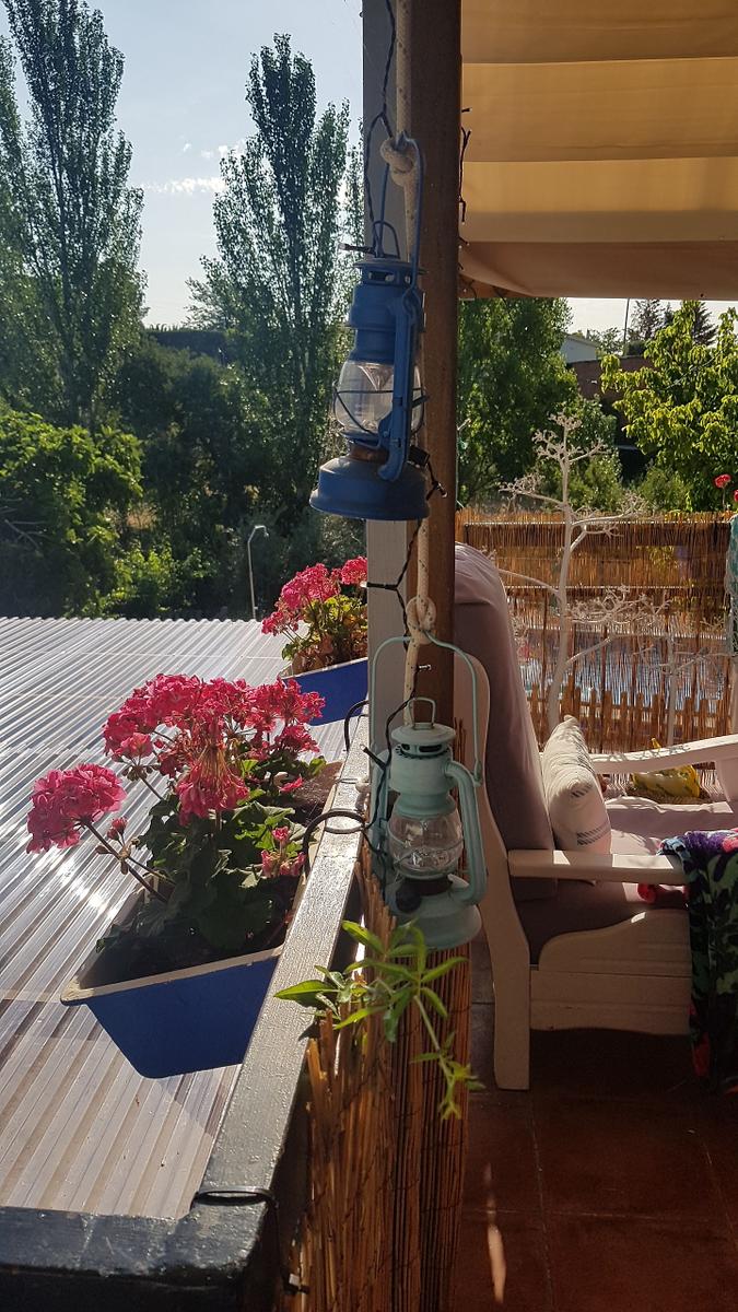 Balcon y terraza para el verano - plantas y flores para darle un toque fresco
