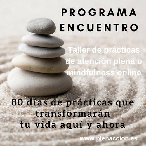 programa mindfulness