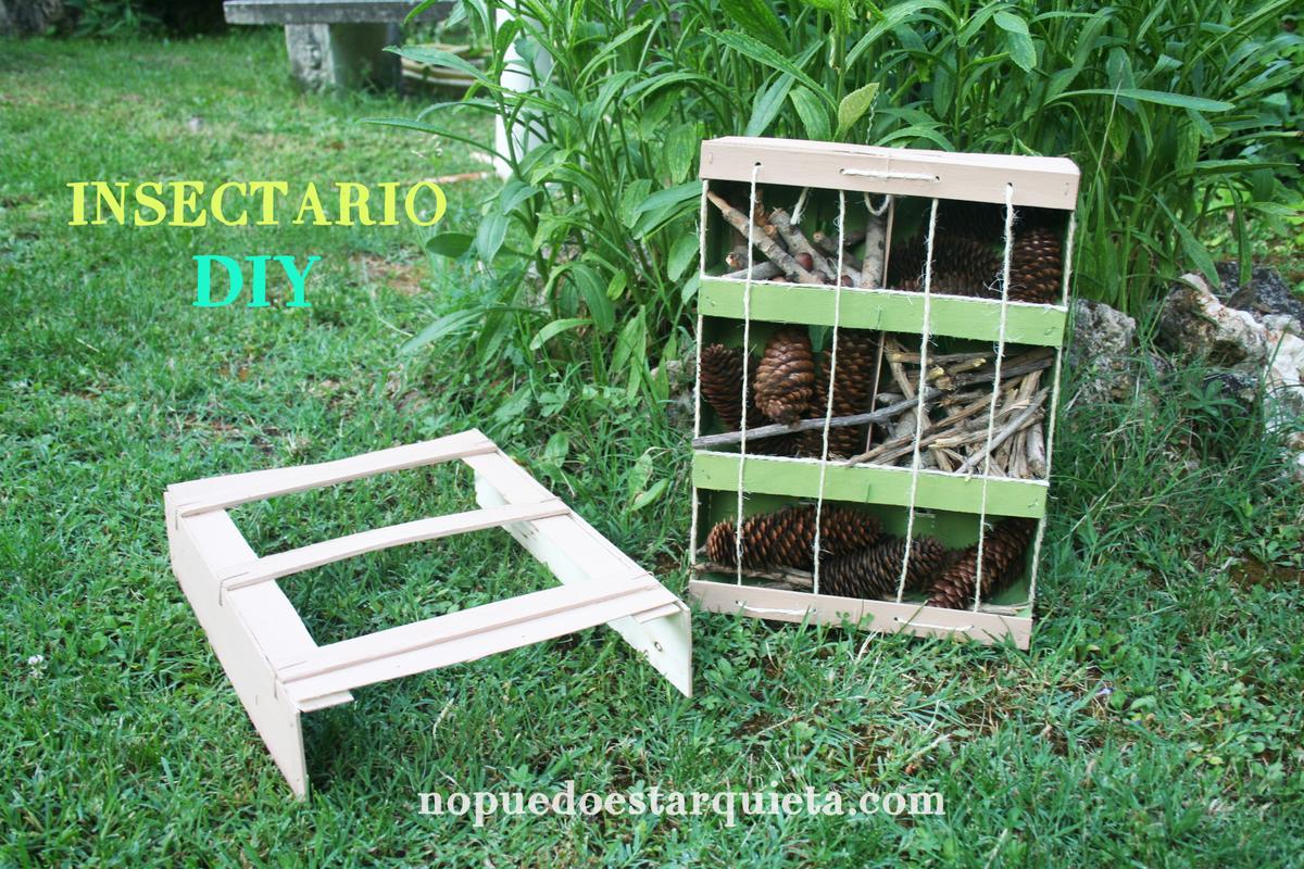 Insectario DIY maison du insectes