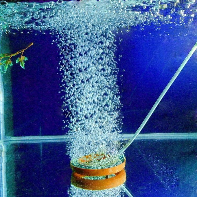 ciclo del nitrógeno en el acuario, oxígeno