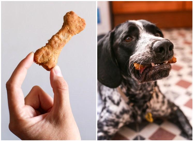 Galletas caseras para perro con manzana y zanahoria Mascotas