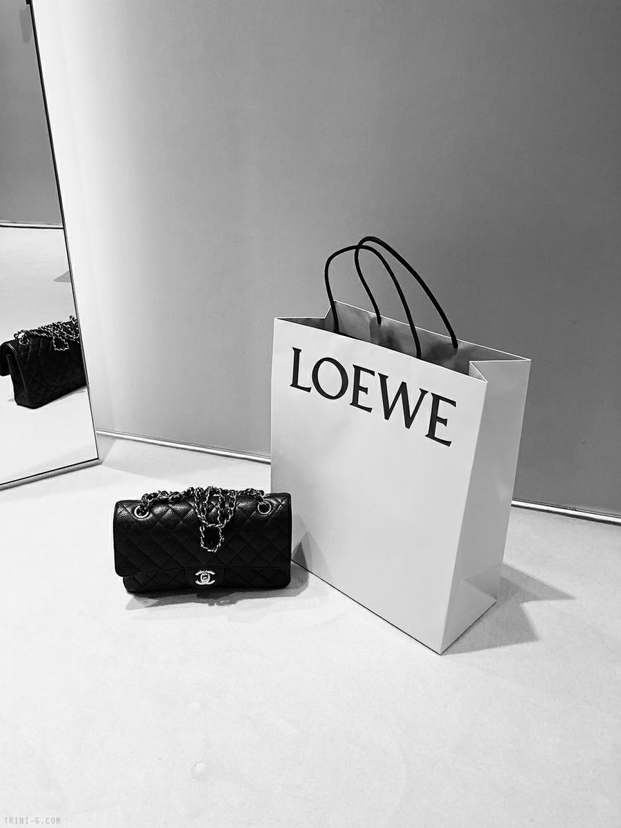 Trini |Chanel classic flap bag Loewe bag