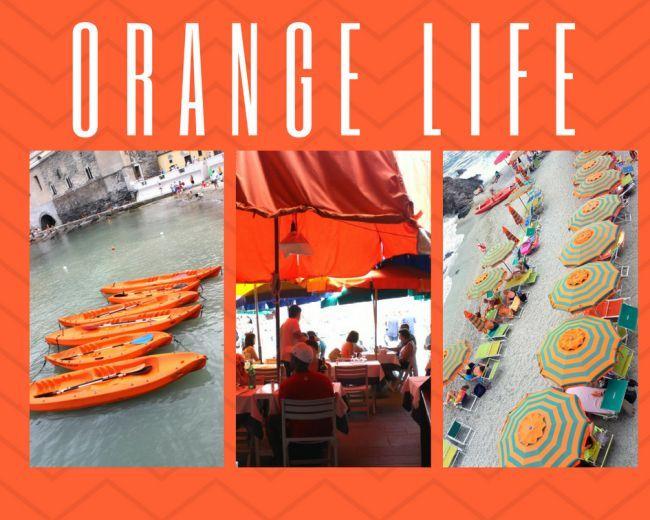 Como hacer un Color Collage con tus fotos preferidas