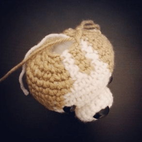 Aprende a hacer un peluche tejido de chihuahua cabeza 2