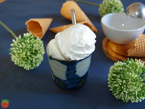 Helado de coco y lima HortoGourmet