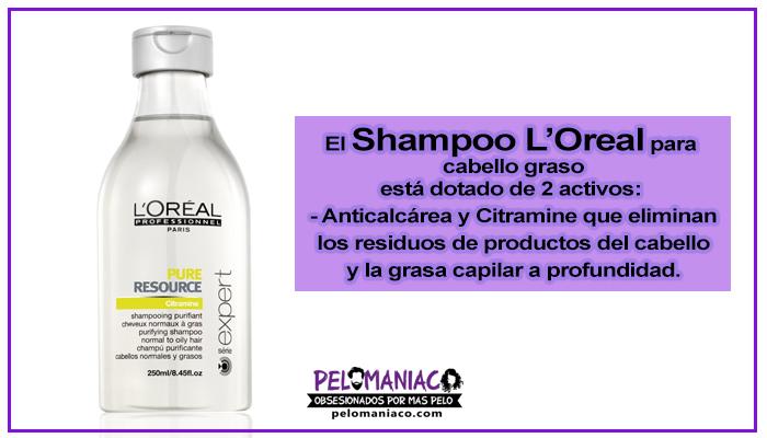shampoo loreal para cabello graso