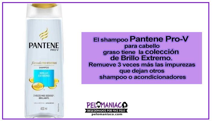 shampoo pantene para cabello graso