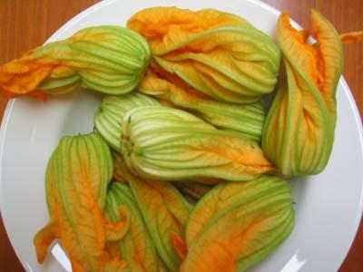 Flores de calabacín