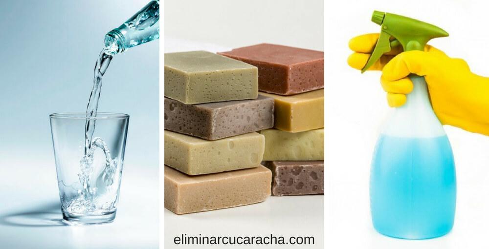 Trampas caseras contra cucarachas