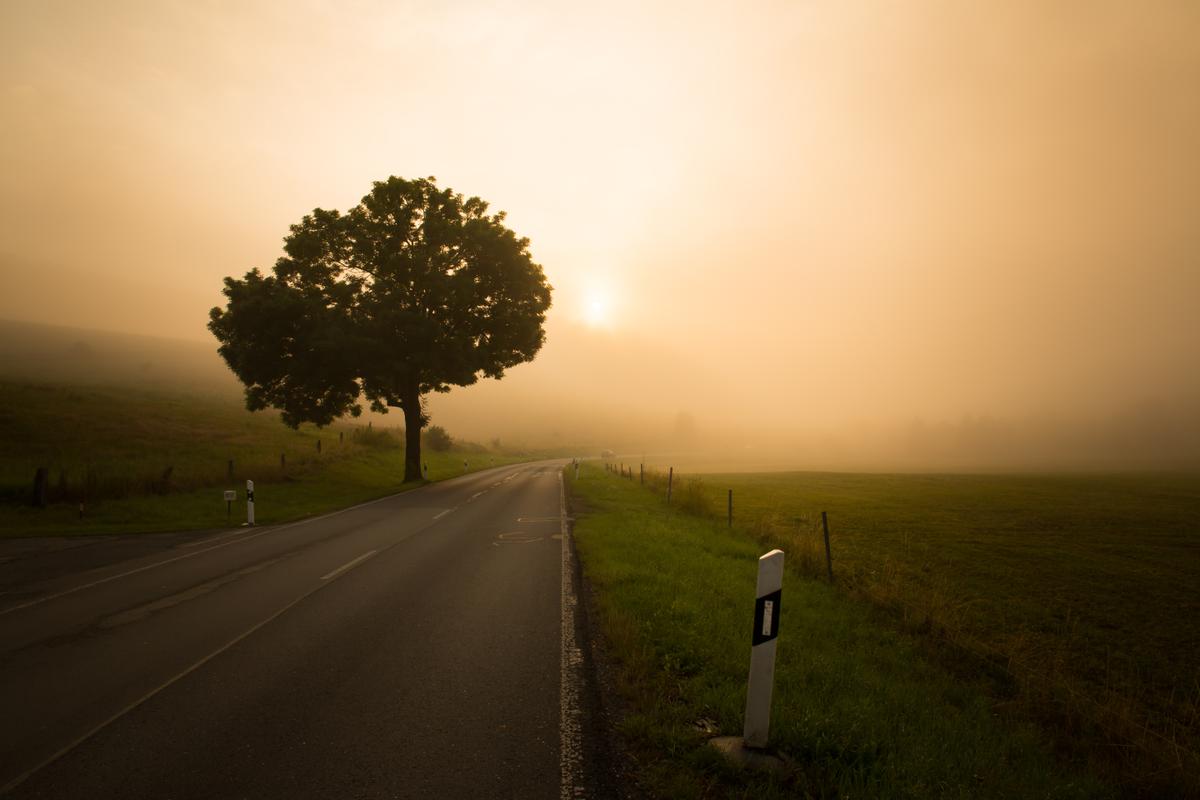 robert-wiedemann-425094-unsplash