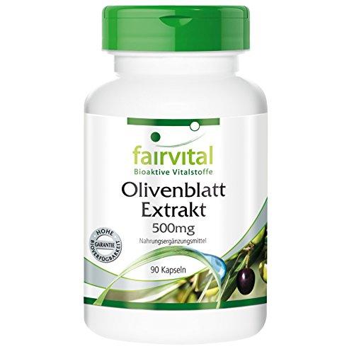Extracto de hojas de Olivo - fairvital - 90 cápsulas vegetarianas - 20 % de oleuropeína - 500 mg