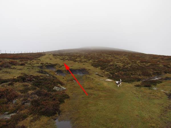 Como pista, no perder de vista el vallado de la izquierda