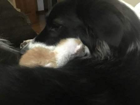 38085131_10214844292353990_8550762128028467200_n