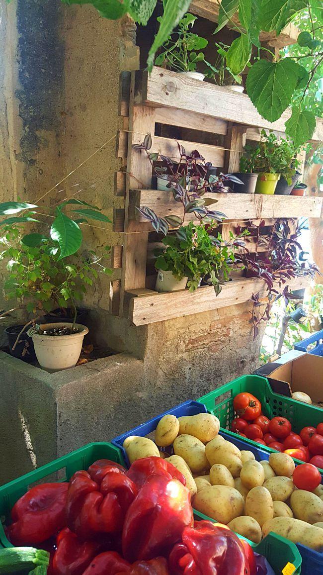 Menú fresco veraniego directo del huerto