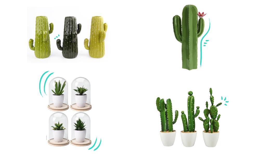 Plena Naturaleza Surtido Cactus Conforama