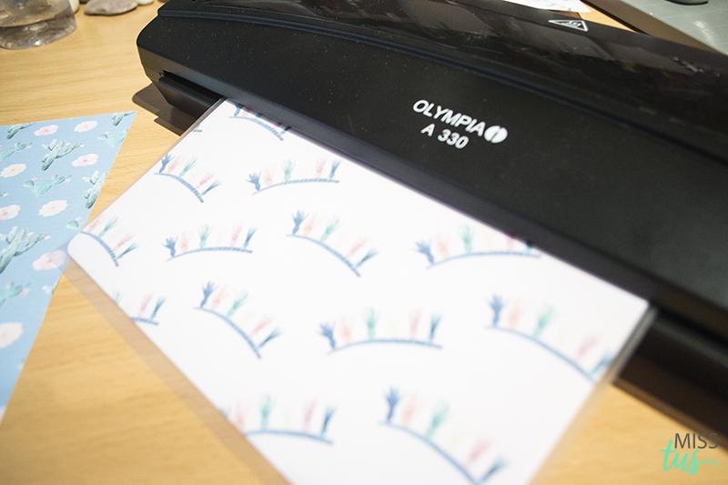 DIY: Midori para viajes llamas y cactus