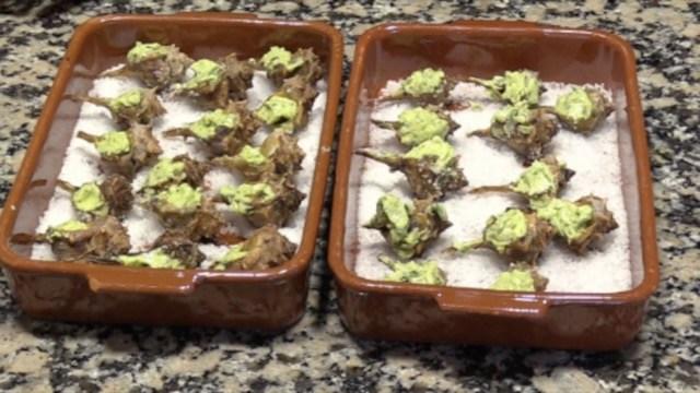 Resultado Cañaillas