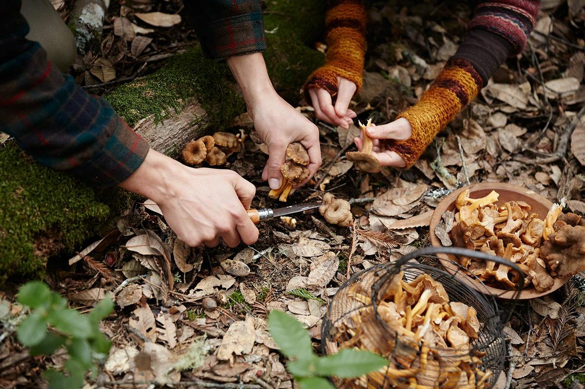 La Casa de las Setas_00058