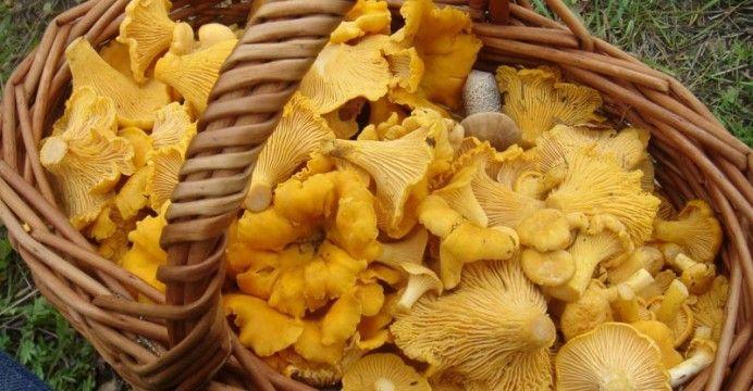 La Casa de las Setas_00053