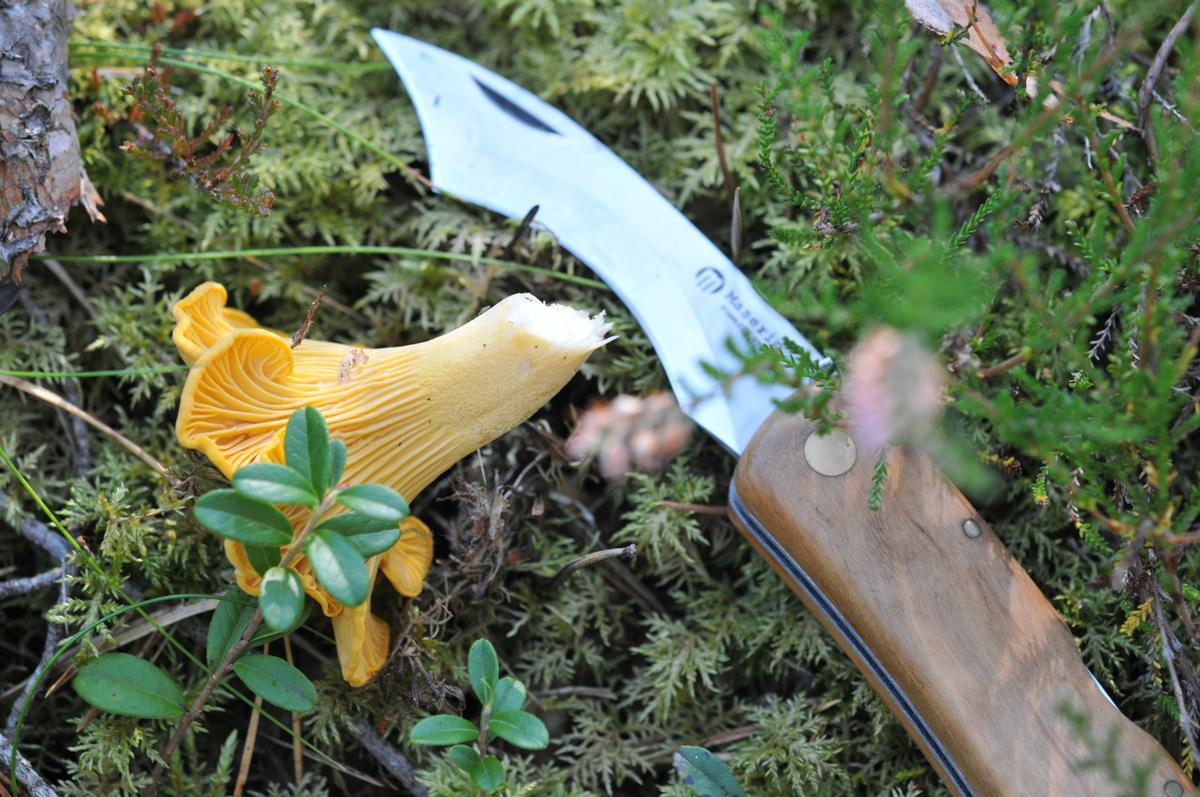 La Casa de las Setas_00021