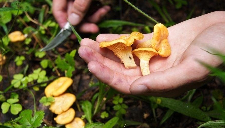 La Casa de las Setas_00009