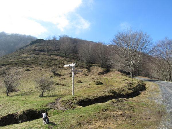 De momento, perfecta la señalización