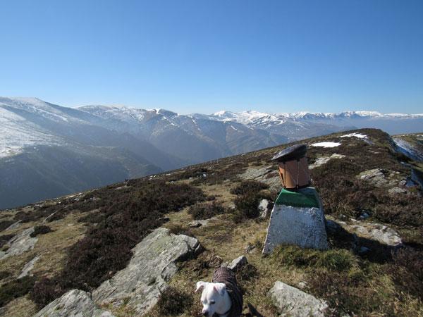 Buzón txapeldun para sentirnos campeones. ¡Aupa!