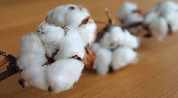 ramo para bodas de algodon