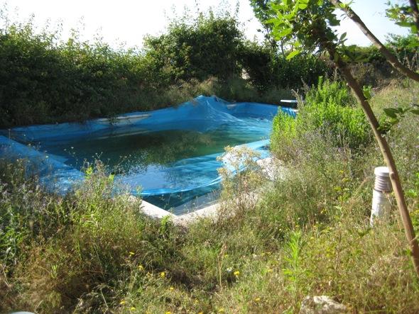 renovación piscina exterior