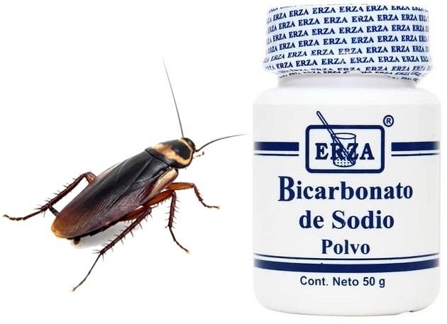 El bicarbonato de sodio mata a la cucaracha que lo ingiere sin darse cuenta
