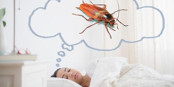 Chica soñando con cucarachas