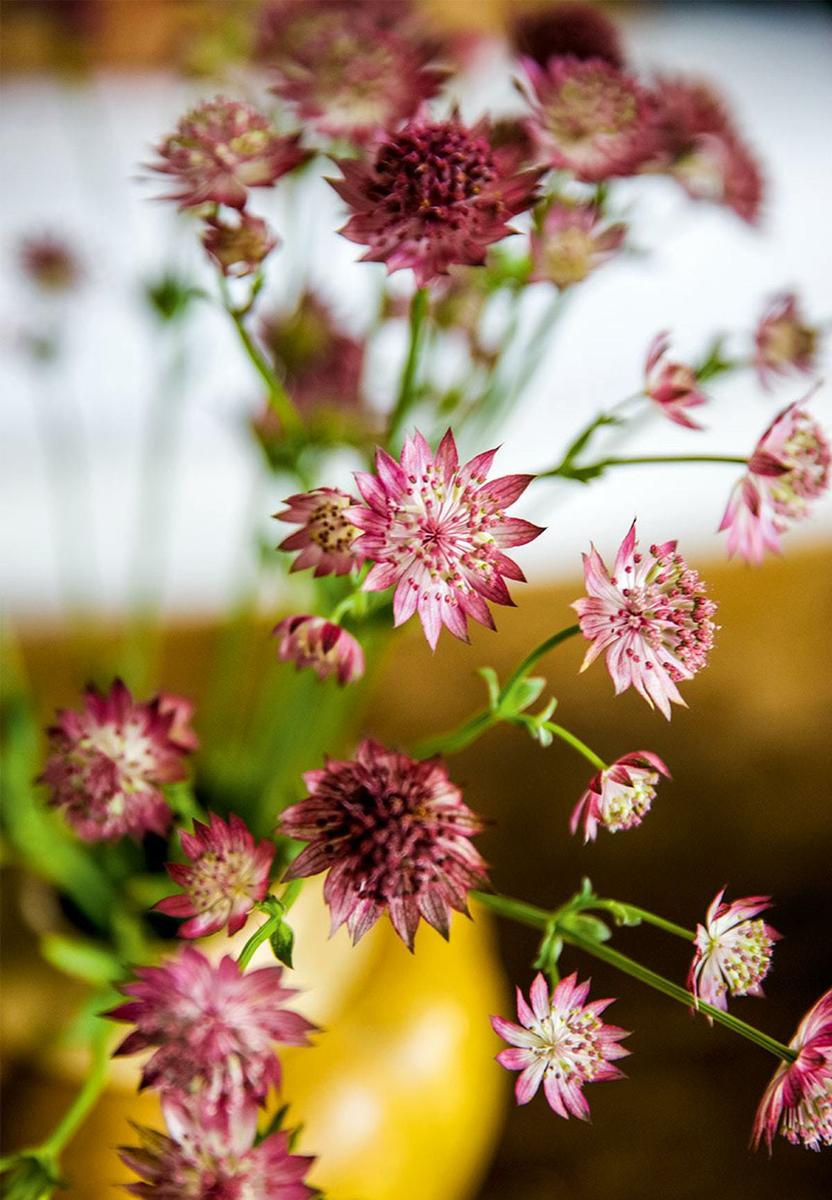 in love with textiles 2