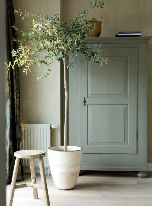 Sage green en muebles